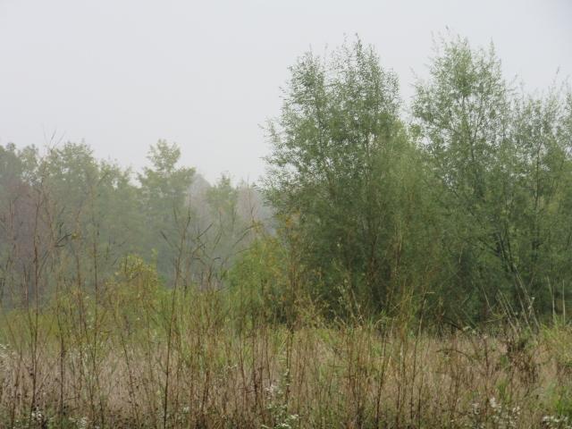 W6642 Birch Hill Rd