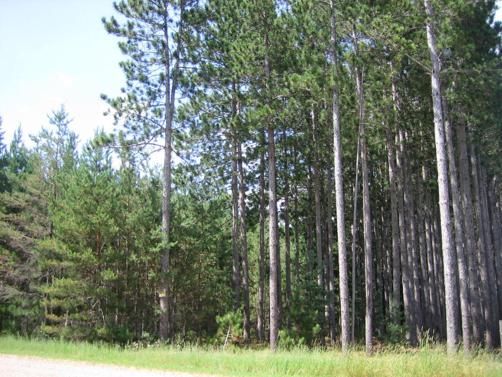W5677 Pines Lane