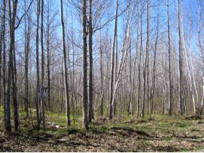 Crestview Dr