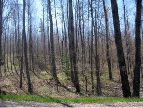 Crestview Dr