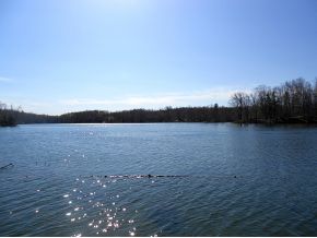 Crestview Dr