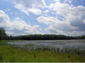 Crestview Dr