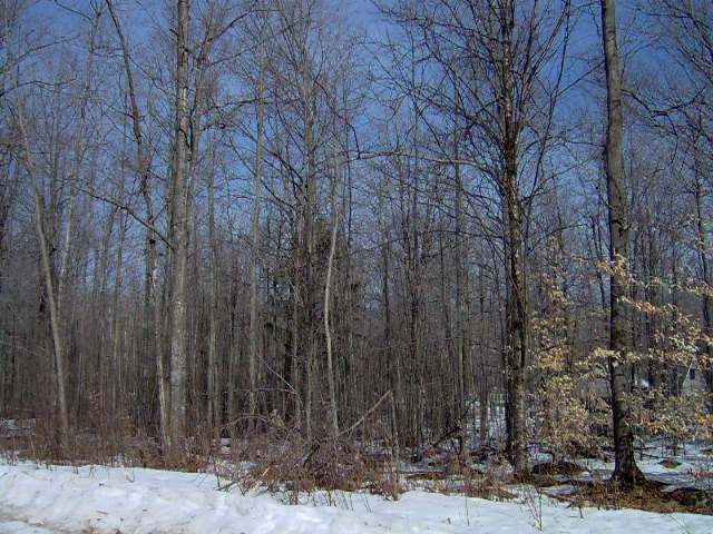 On River Ln