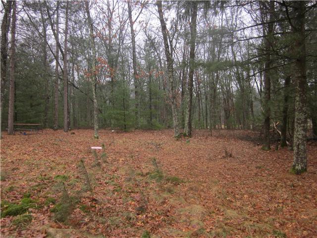 W4947 Lulu Lake DrShawano, WI, 54166Shawano County
