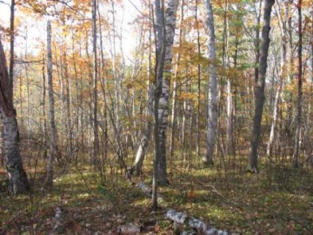 Lot 4 Presbyterian Rd