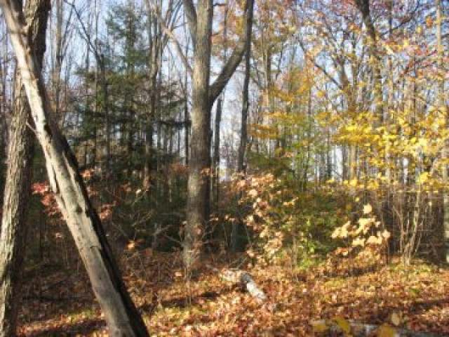 Lot 2 Presbyterian Rd