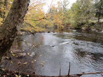 16736 Nicolet Road, Nicolet National Forest