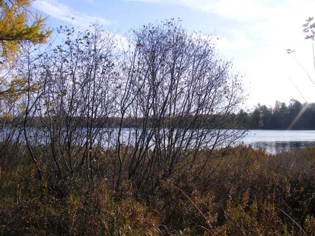16991 Lewis Lane, Nicolet National Forest
