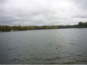 17590 Dutton Lane Prvt, Nicolet National Forest