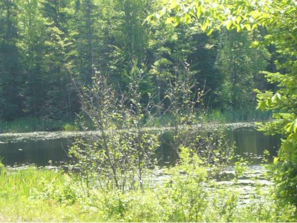17590 Dutton Lane Prvt, Nicolet National Forest
