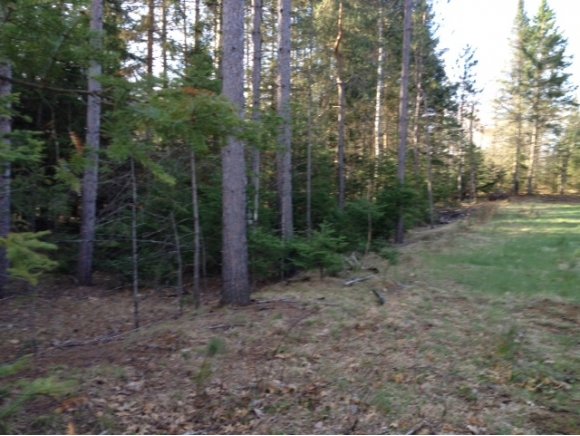 17590 Dutton Lane Prvt, Nicolet National Forest