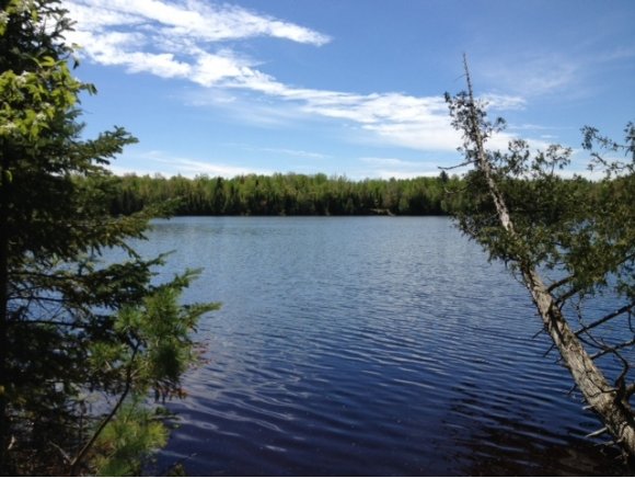 Sawyer Lake Rd