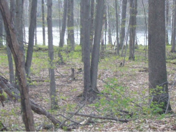 Sawyer Lake Rd
