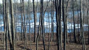 Lot 30 Three Rivers Landing