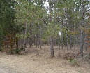 N13635 Otter Way