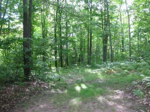 N11158 Evergreen Road
