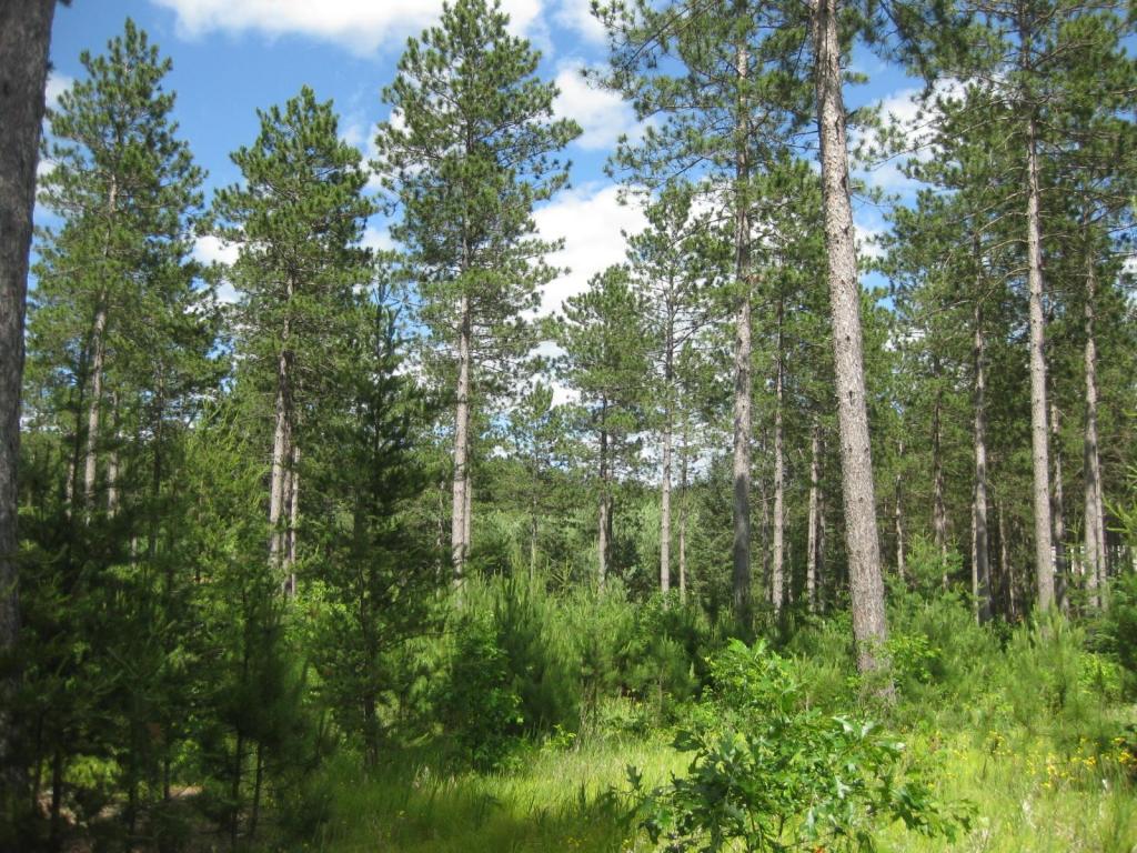 N11158 Evergreen Road