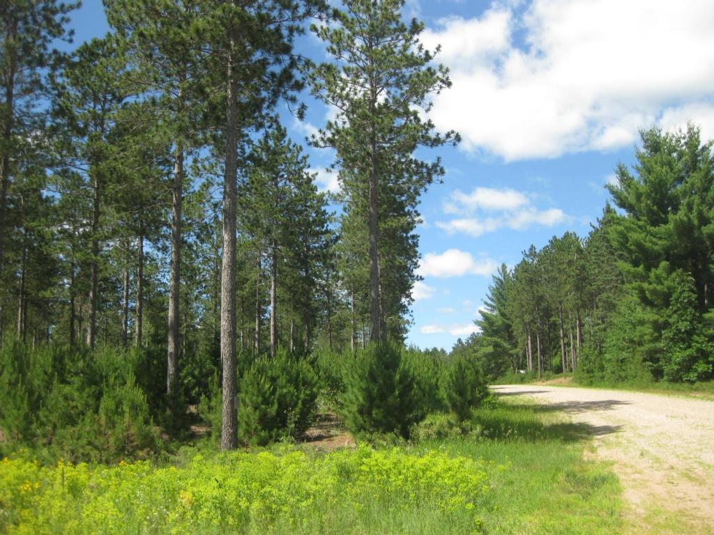 N11158 Evergreen Road