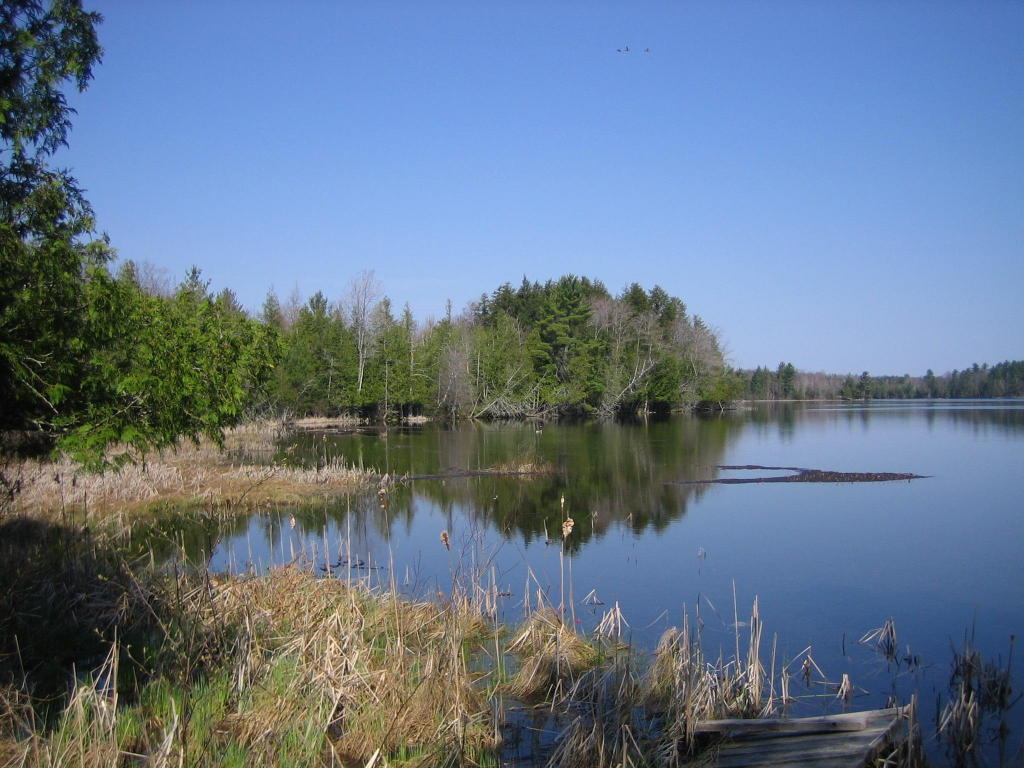 Lot 37 Crystal Rapids Road