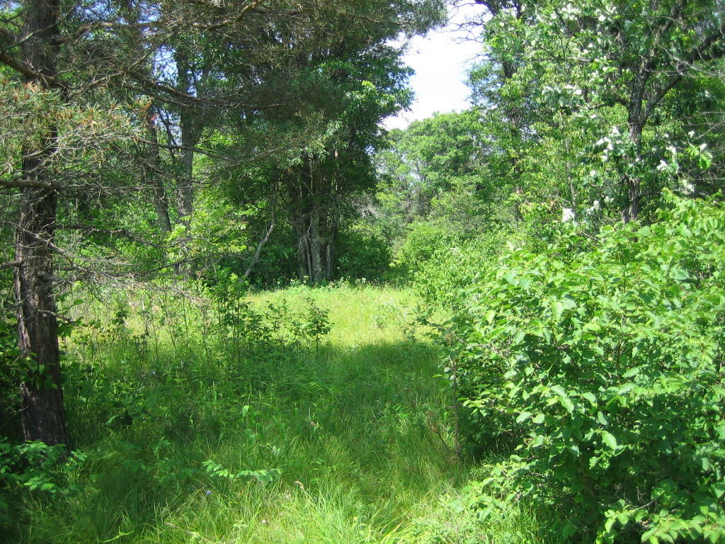 Lot 37 Crystal Rapids Road