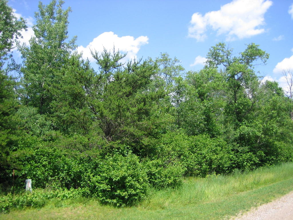 Lot 37 Crystal Rapids Road