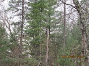 N11512 River Road