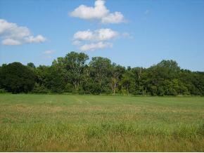 300 Spicewood Ct
