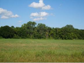 300 Spicewood Ct