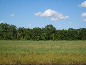 300 Spicewood Ct