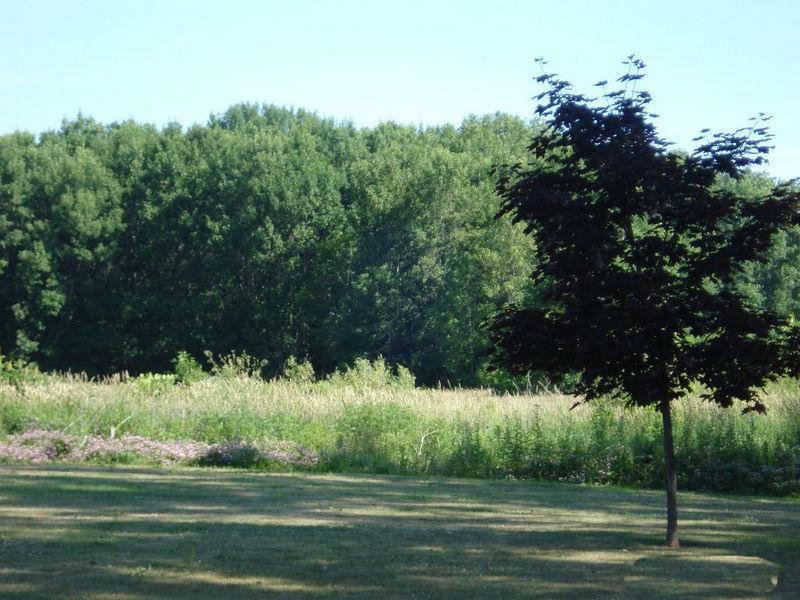 Lot #6 Dollar Ln