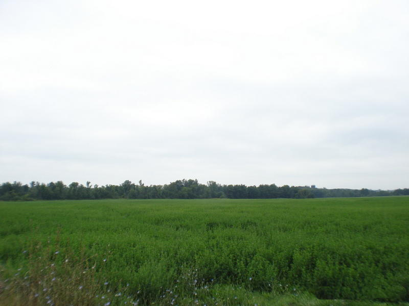 Lot #6 Dollar Ln