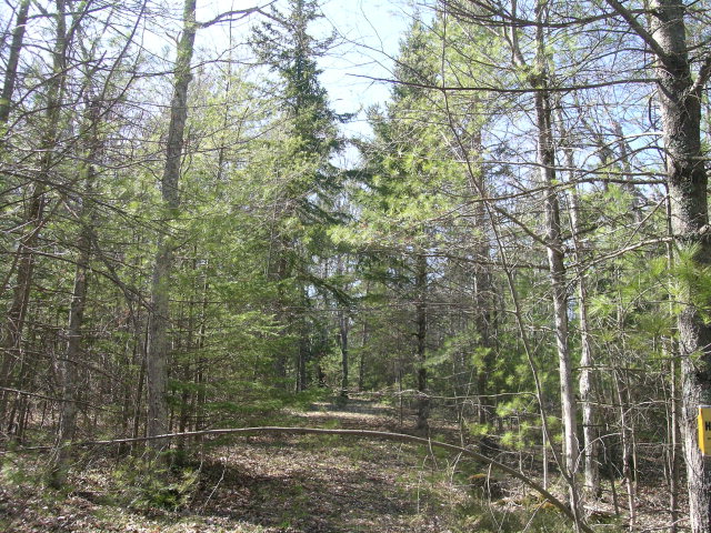 10506 Wisconsin 57 Unit 101