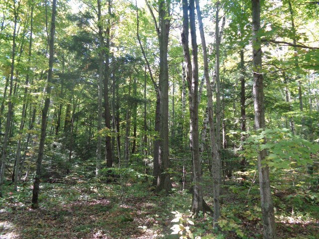 5794 Timber Ridge Rd