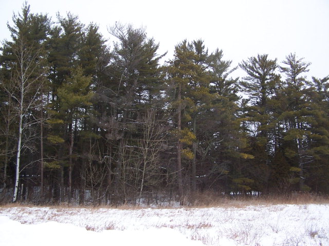 County Rd M