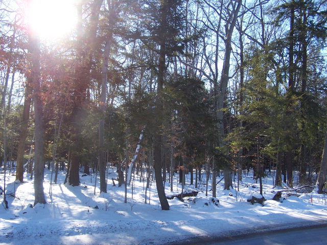 County Rd M