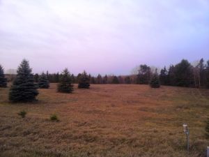 Lot # 2 Garfield St