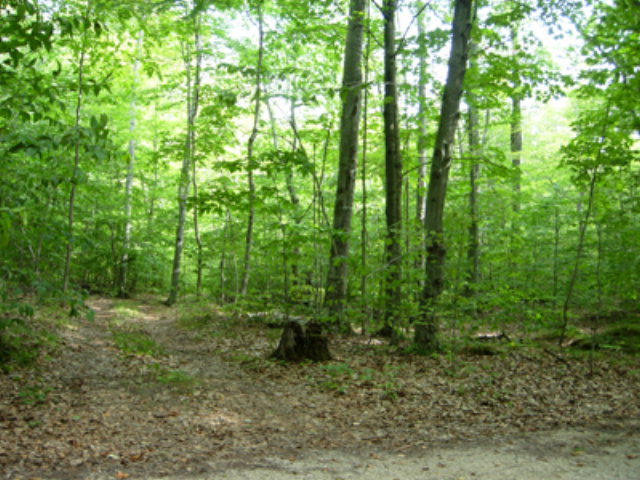 1724 White Trillium Trl