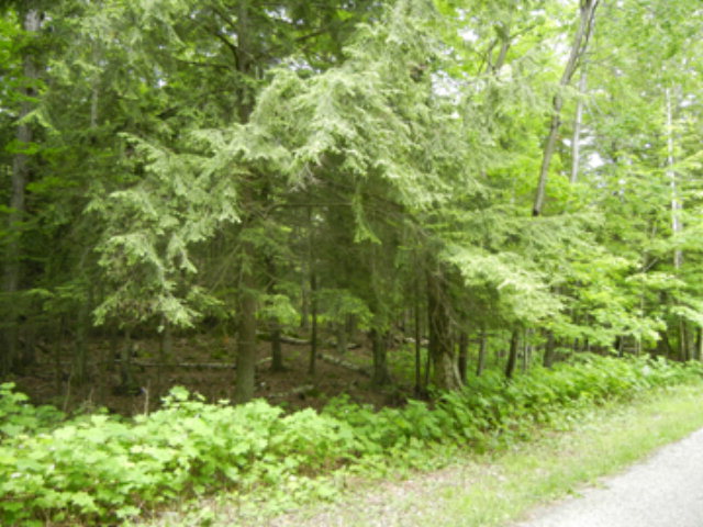 1680 Mountain Road