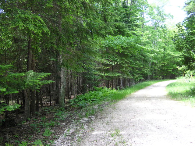 1680 Mountain Road