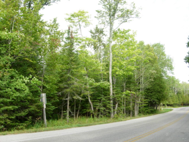 1680 Mountain Road