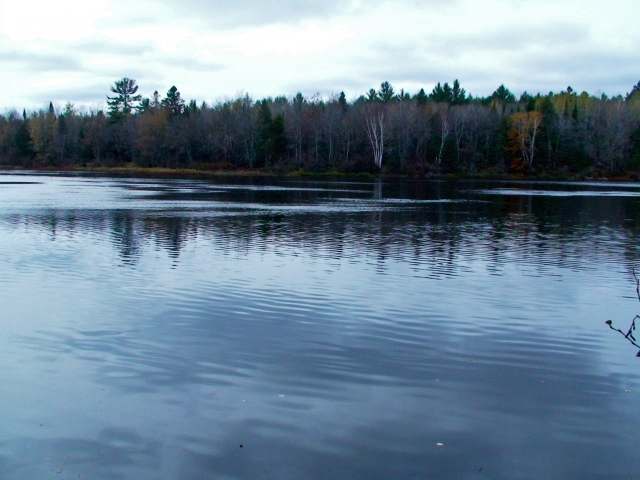 N2954 Hwy 107