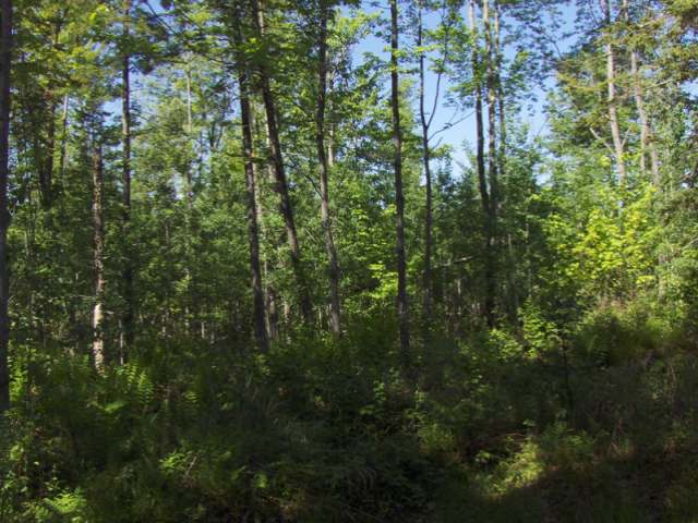 N871 Hwy 102