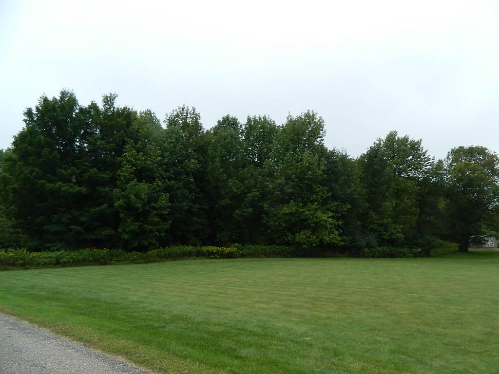 6211 Randy Jay St