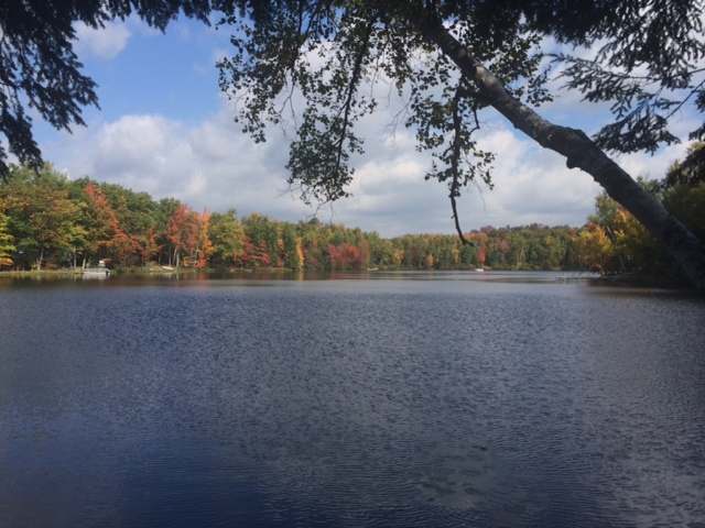 N9205 Mill Rd