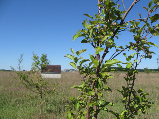 W15088 County Road M