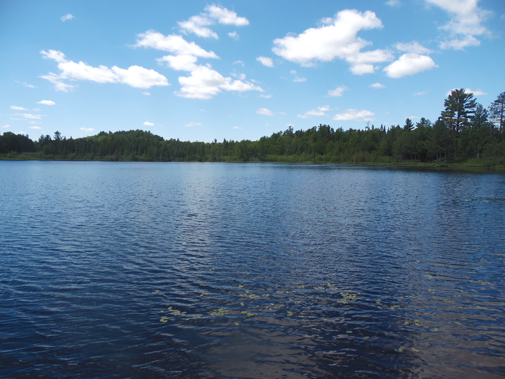 W5012 Beaver Lake Rd, Tomahawk, WI 54487