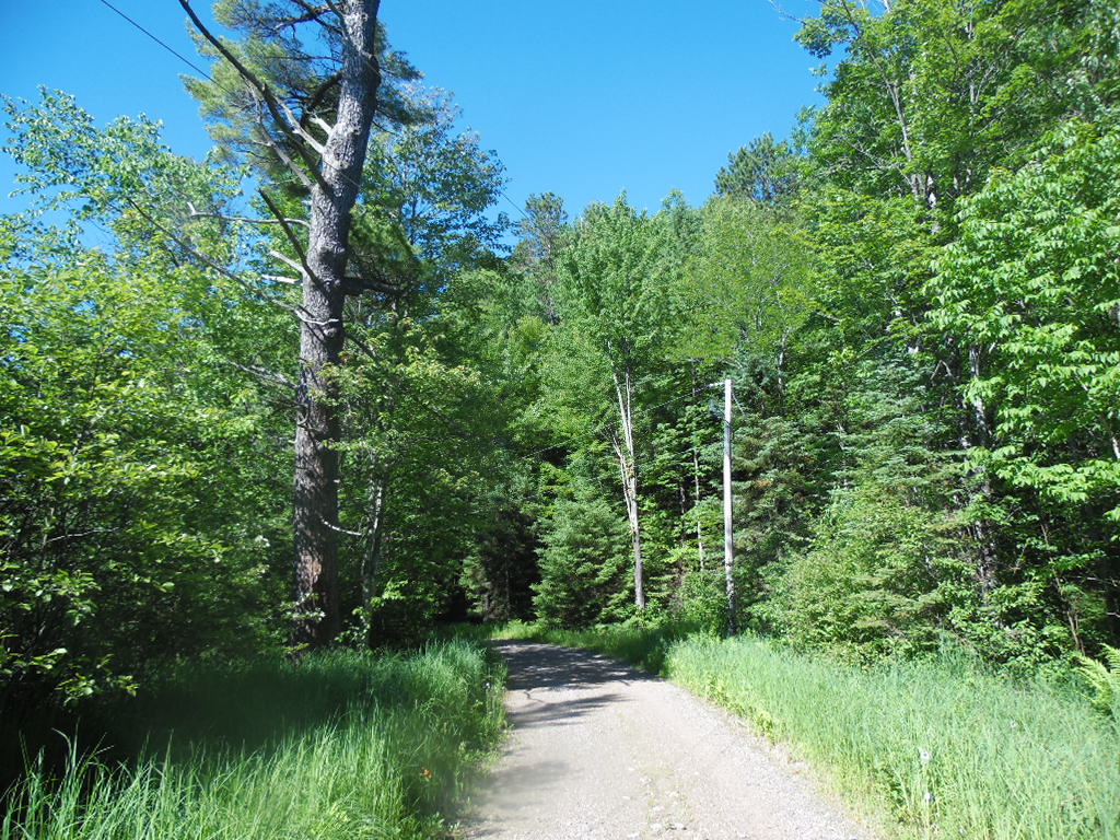 W5012 Beaver Lake Rd, Tomahawk, WI 54487