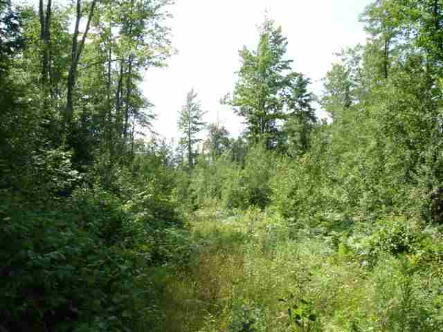 On Silver Creek Road