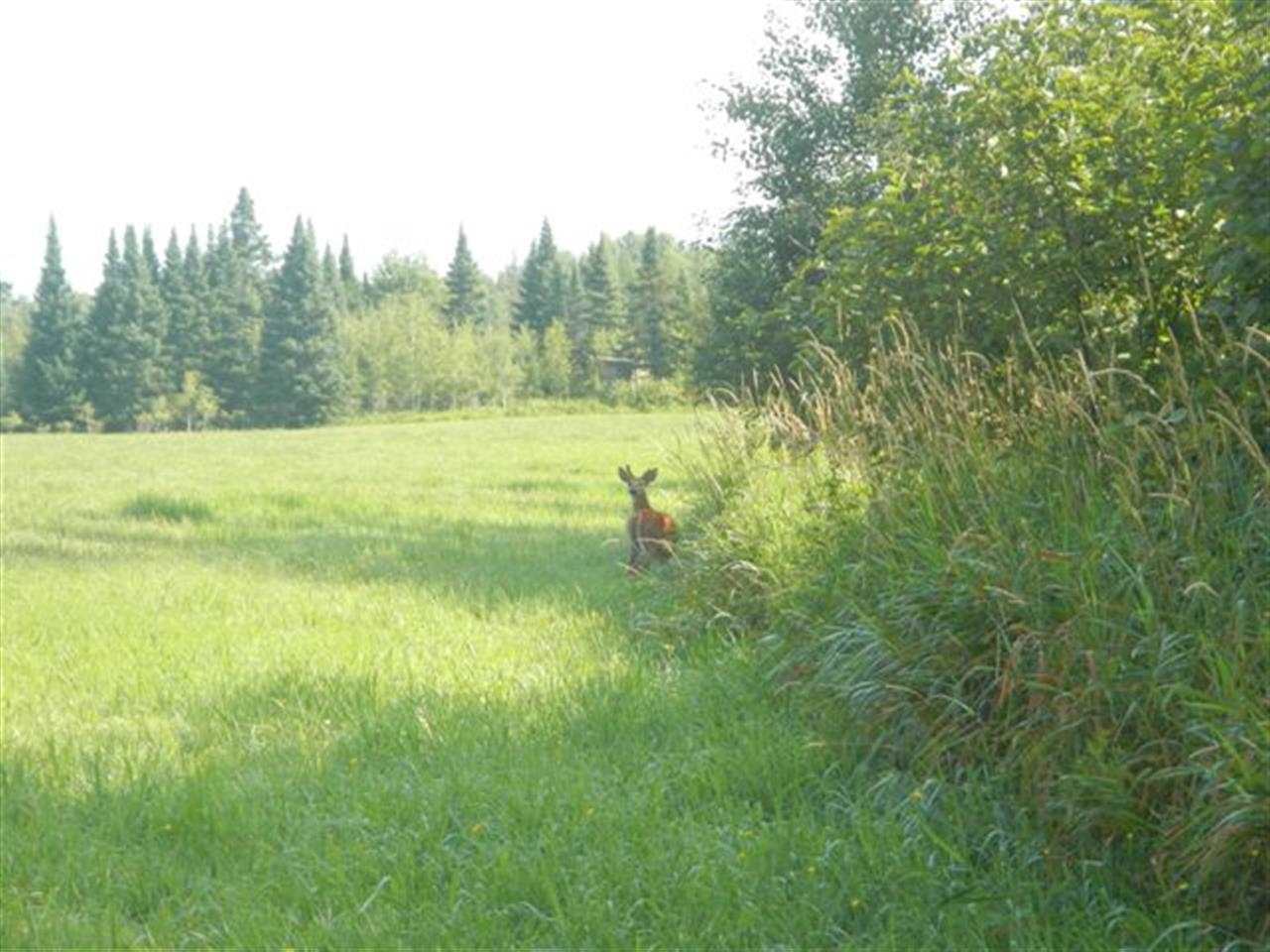 On Silver Creek Road