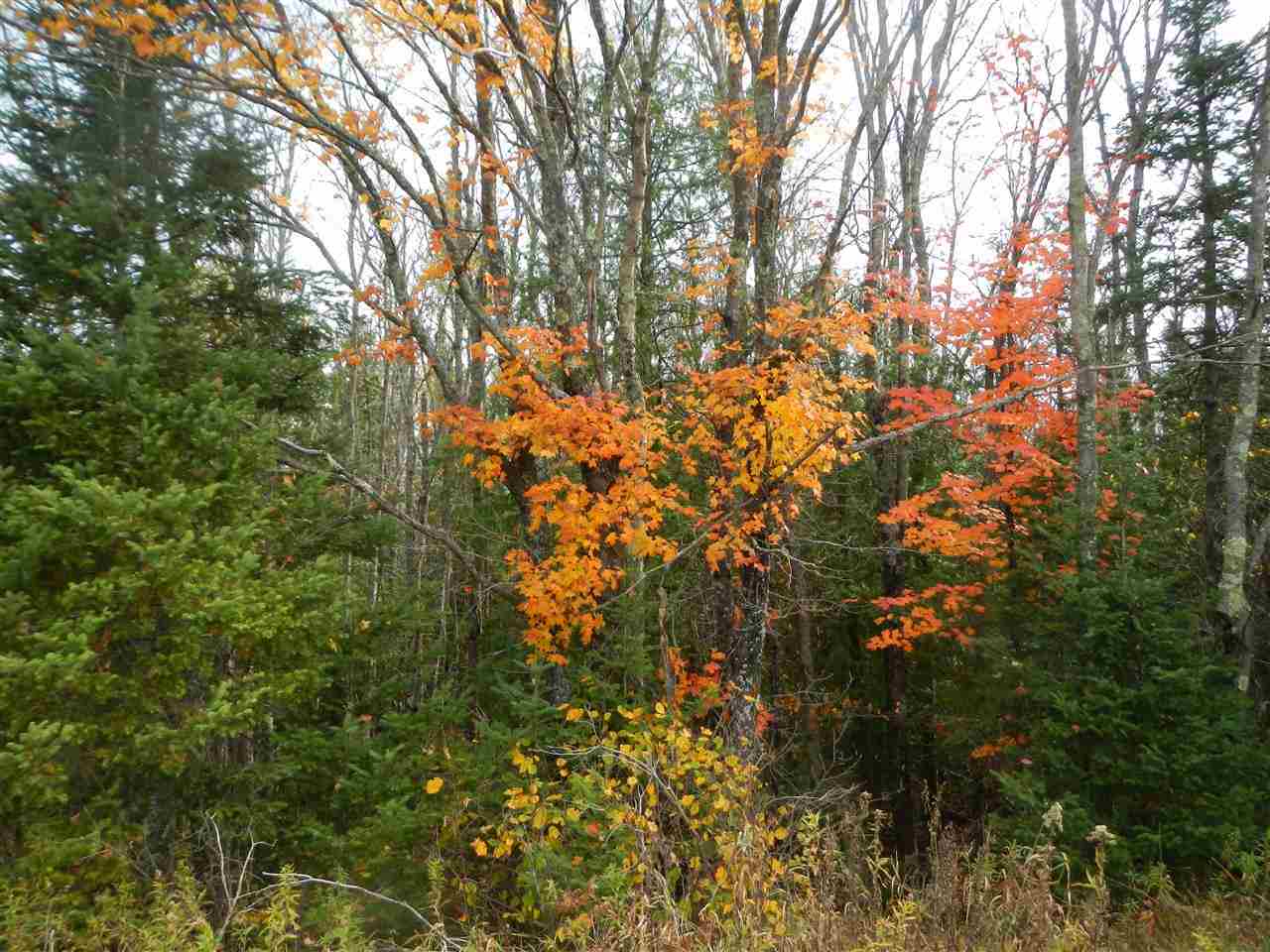 On Silver Creek Road